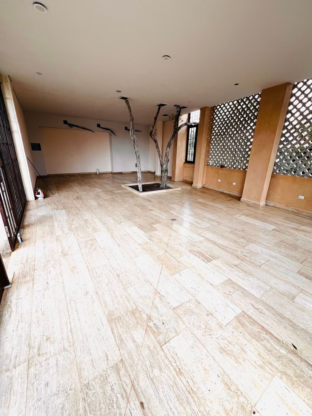 15 de 15: NO DISPONIBLE