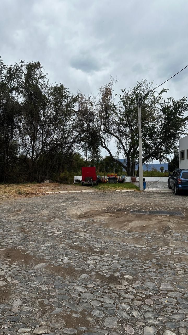 2 de 6