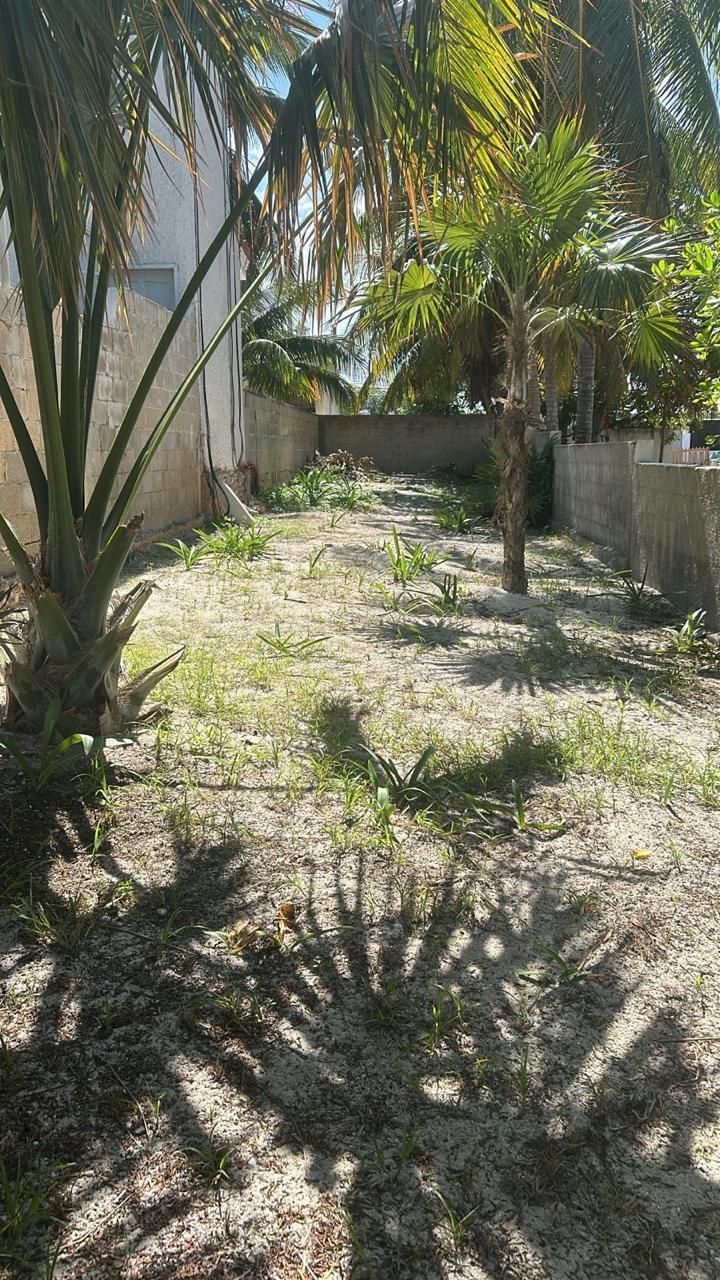 5 de 8