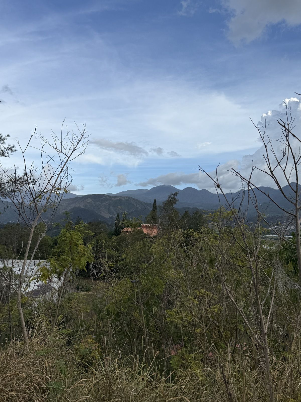 1 de 5