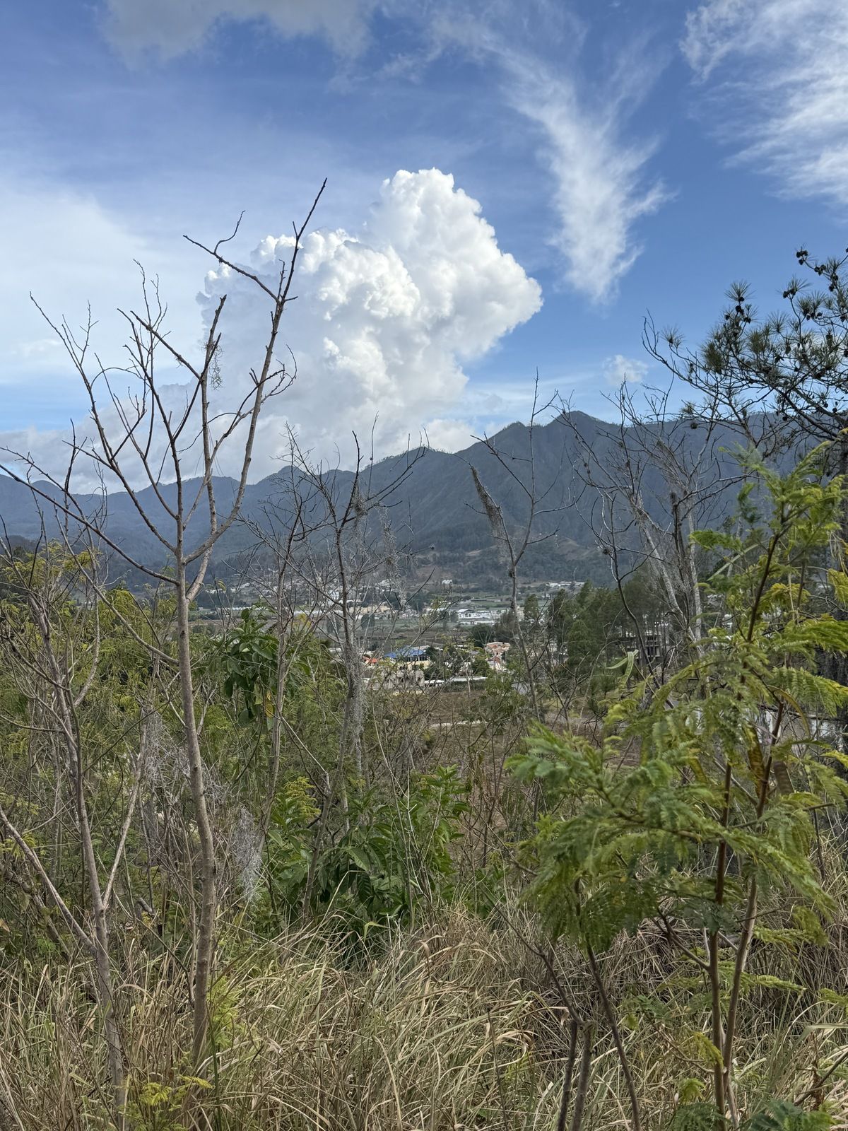 2 de 5