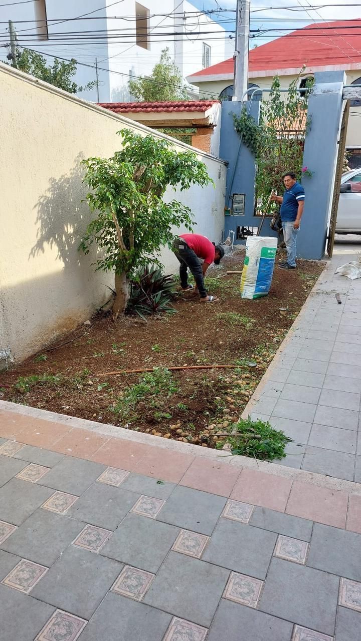 7 de 10