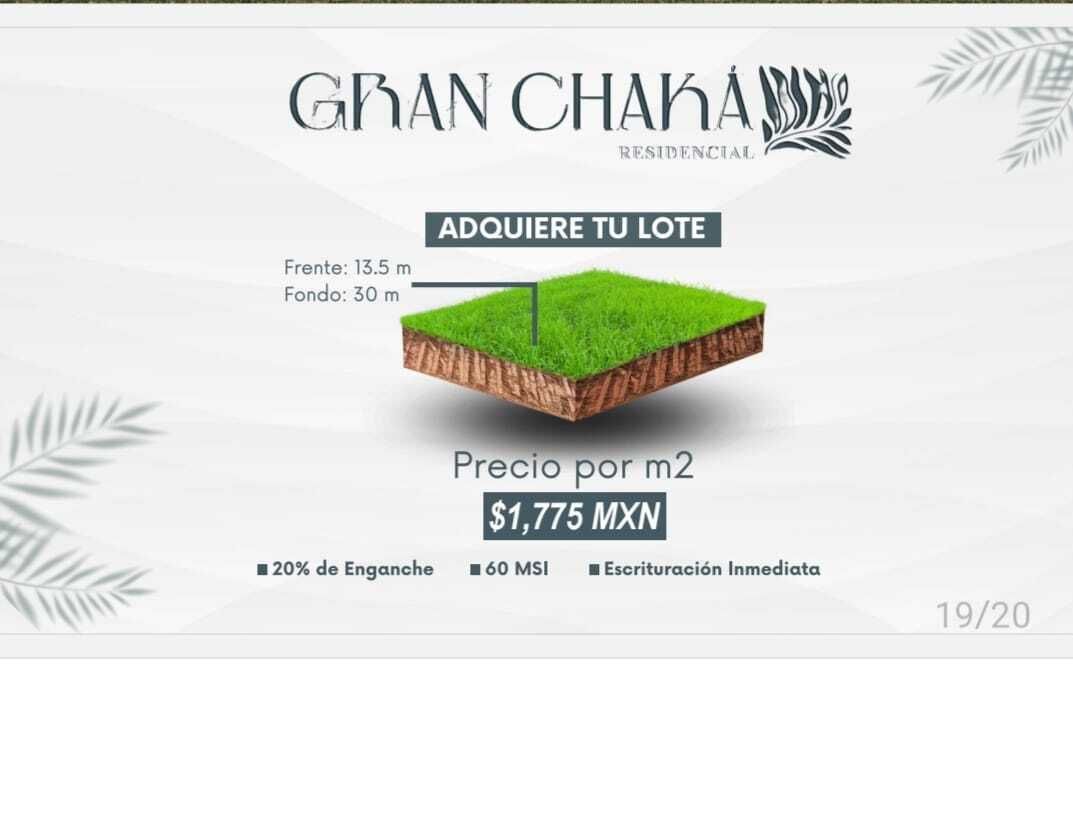 1 de 12