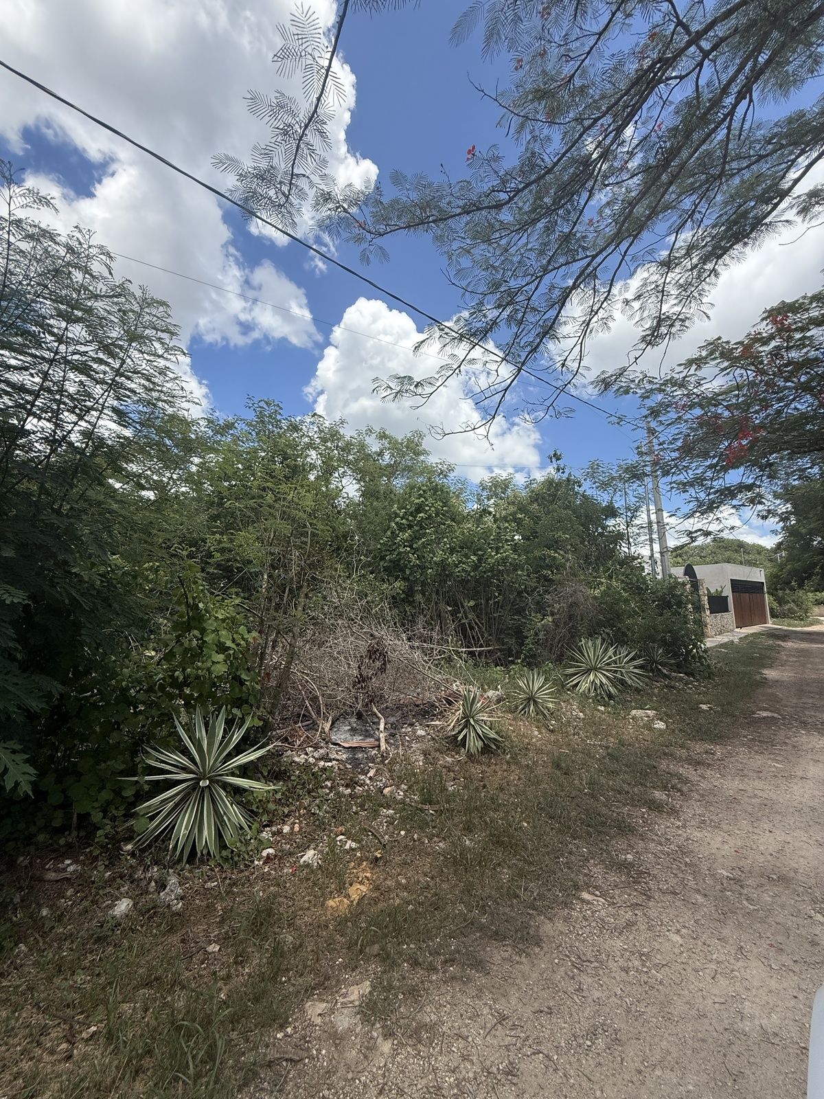 3 de 5