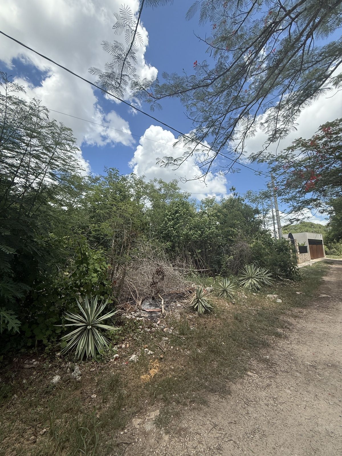 2 de 4