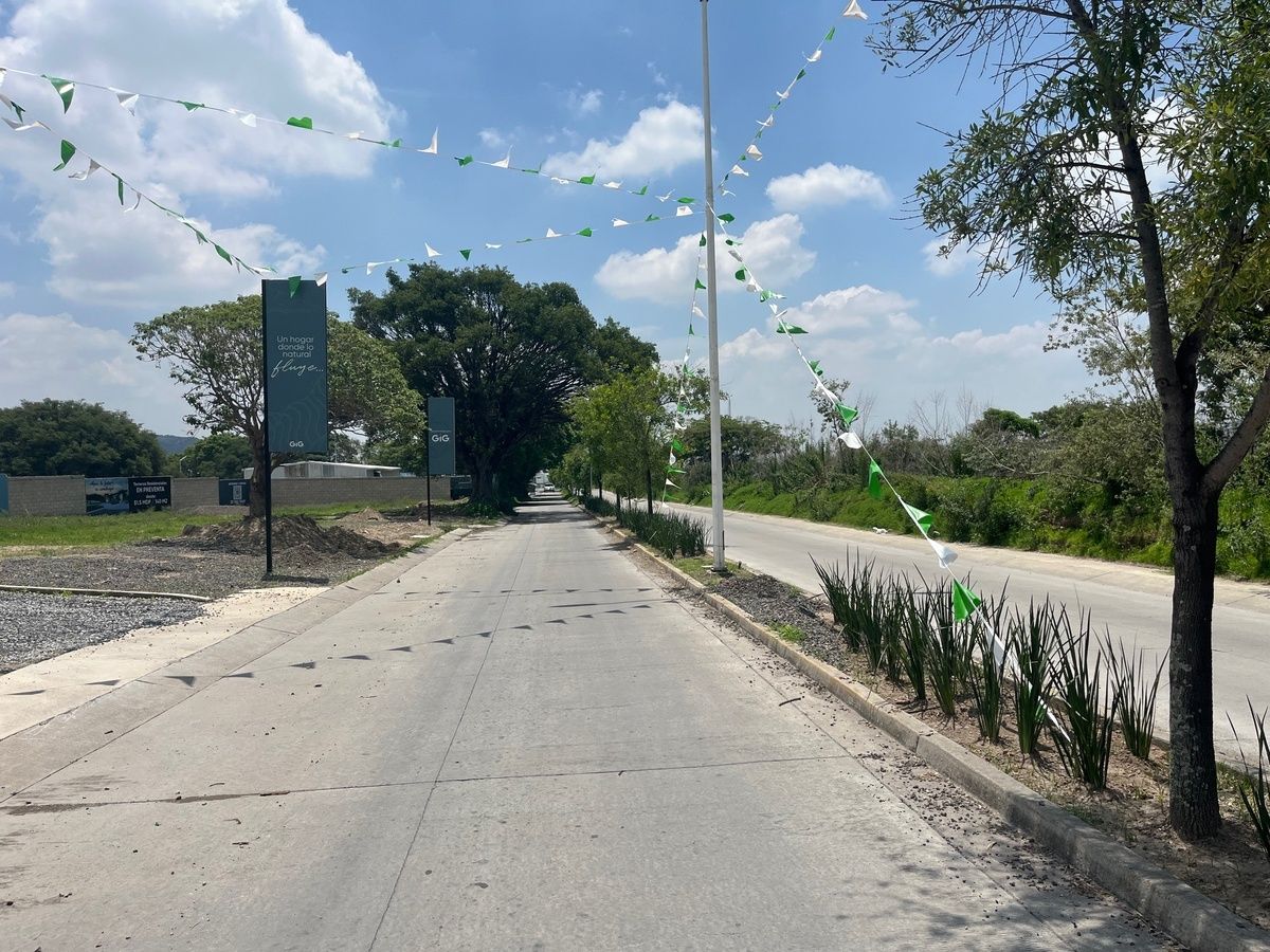 1 de 19