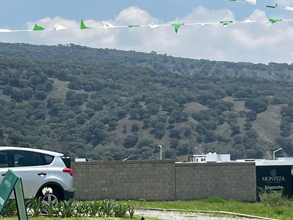 9 de 19