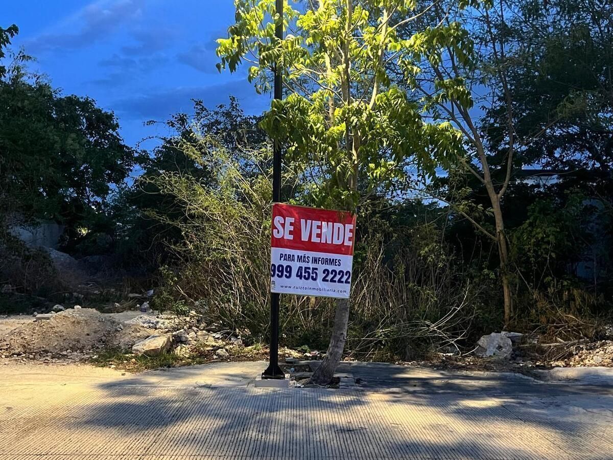 5 de 27