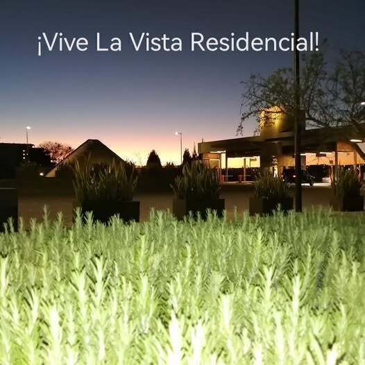 24 de 24