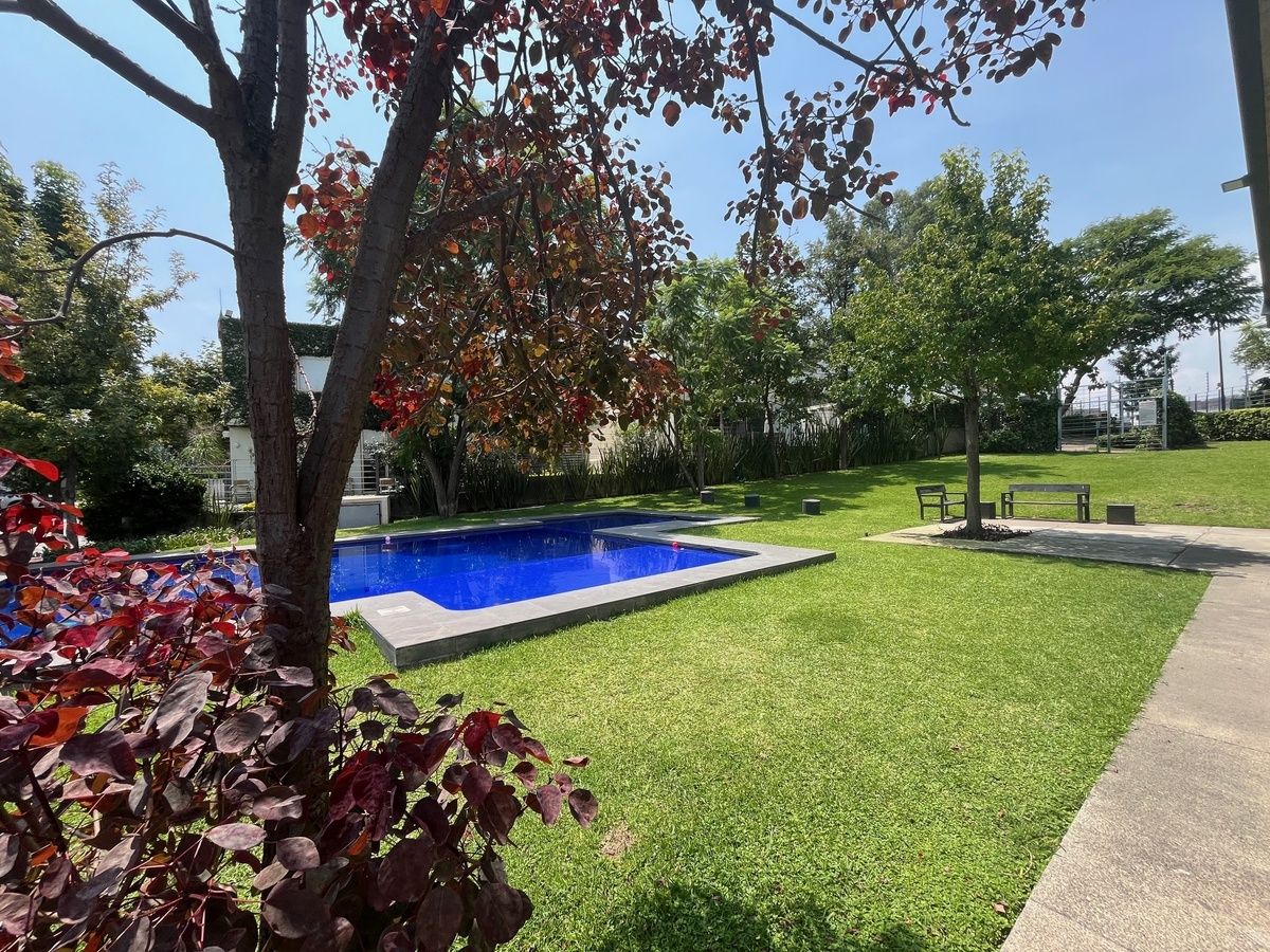 24 de 33