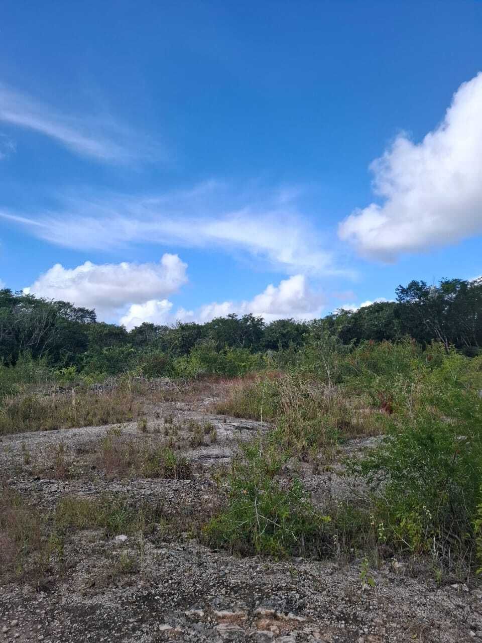 2 de 10