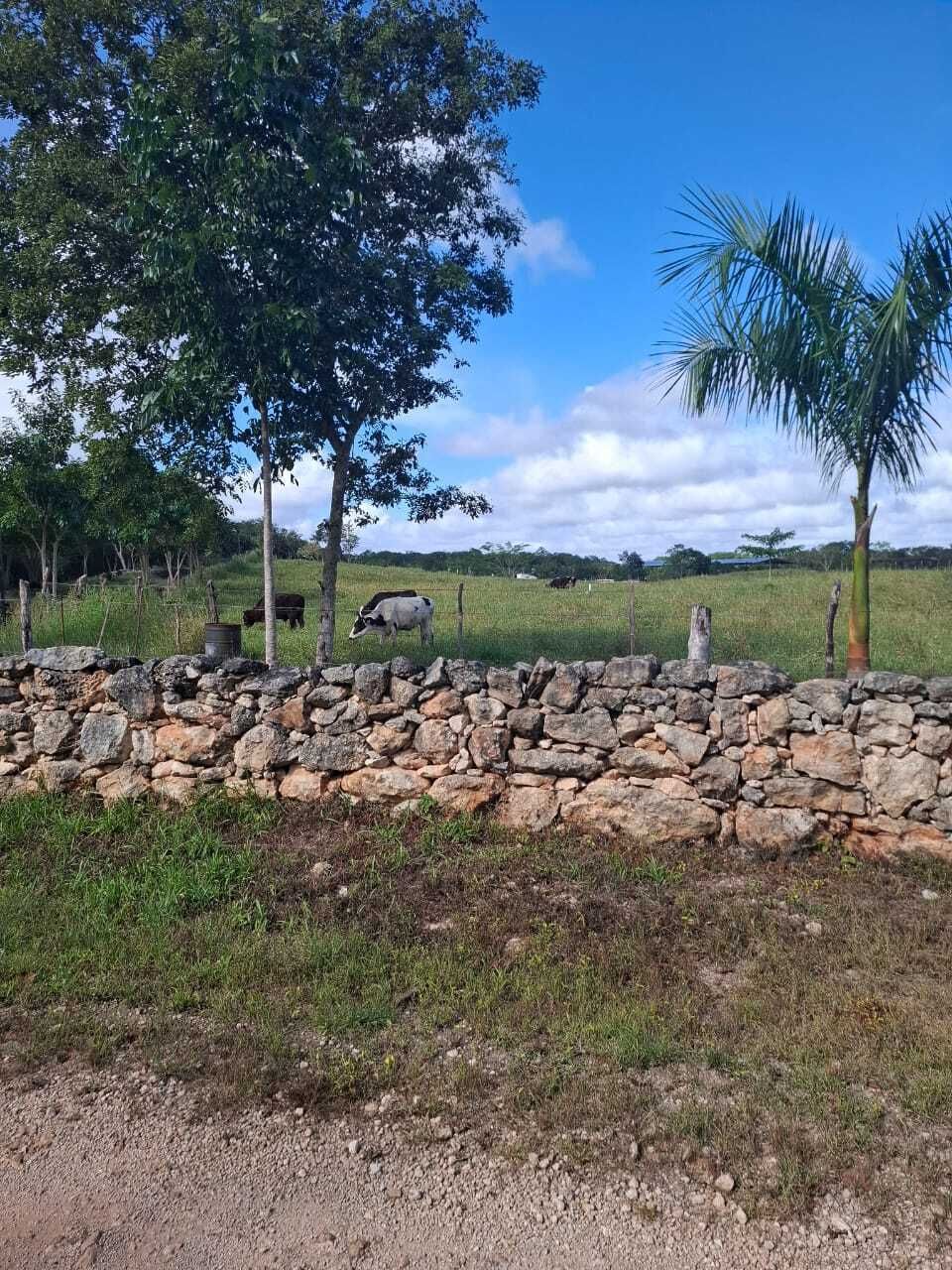 3 de 10