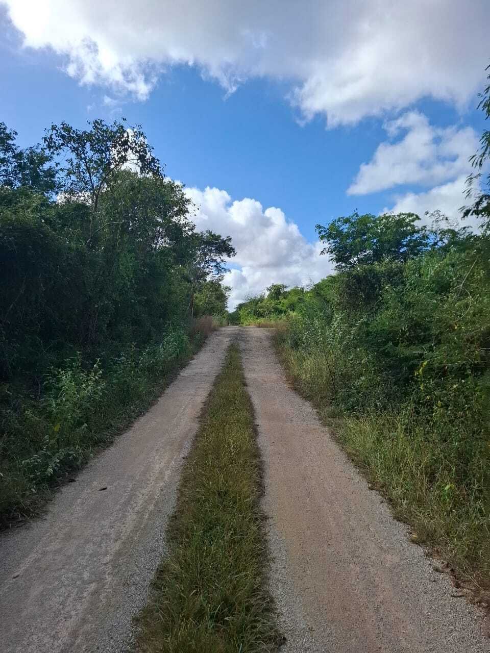 1 de 10