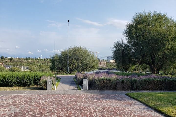 33 de 41
