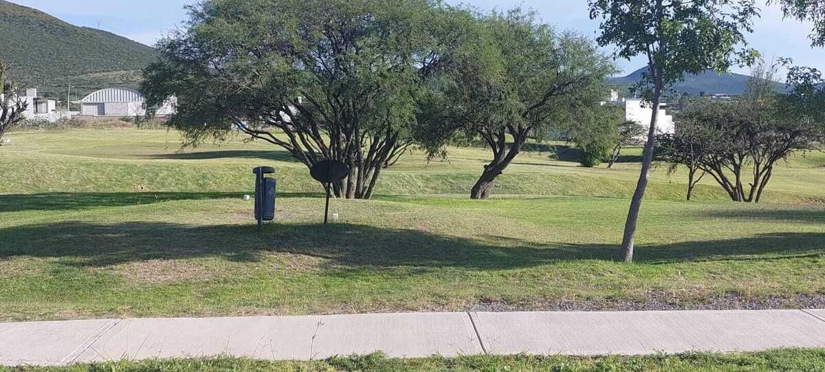 12 of 13