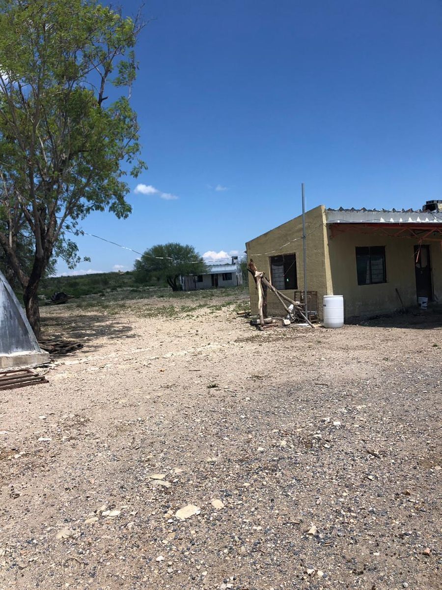 5 de 20