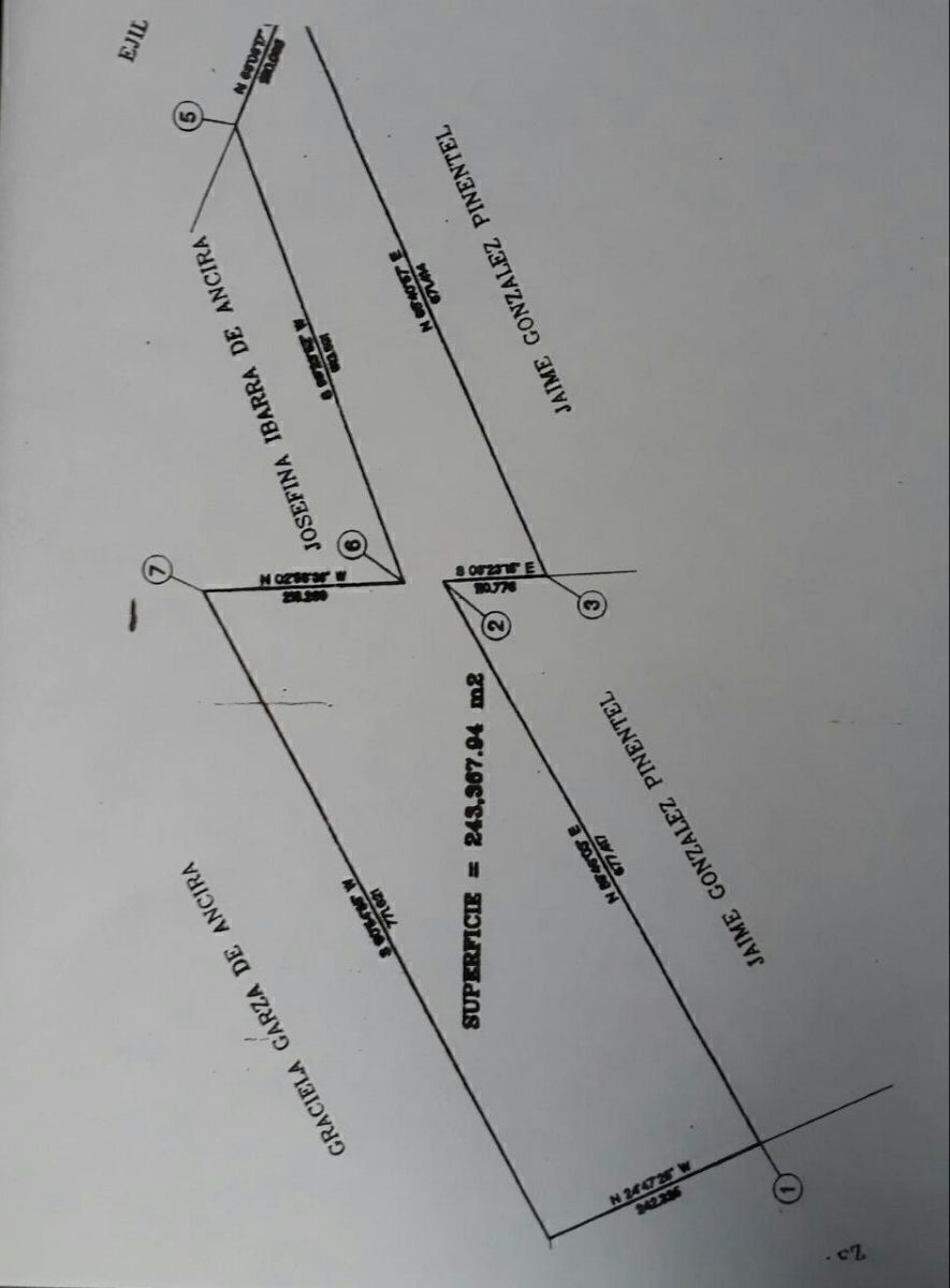 Imagen 3 de 3