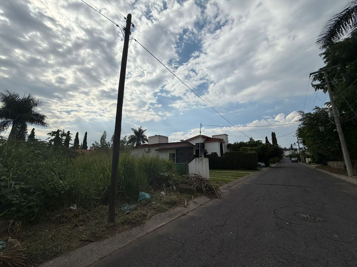 5 de 7