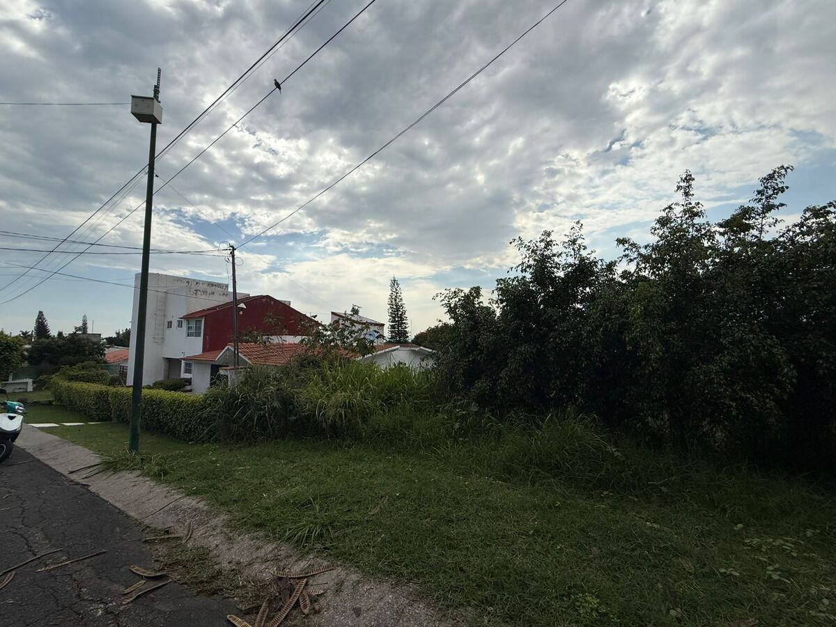 3 de 9