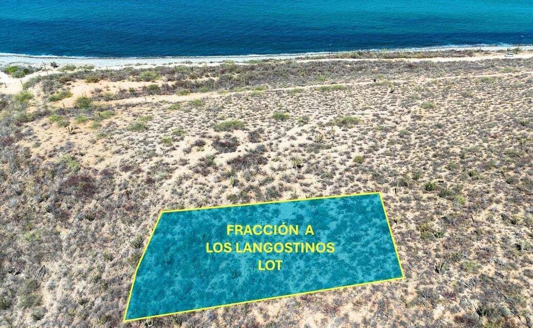 1 de 28