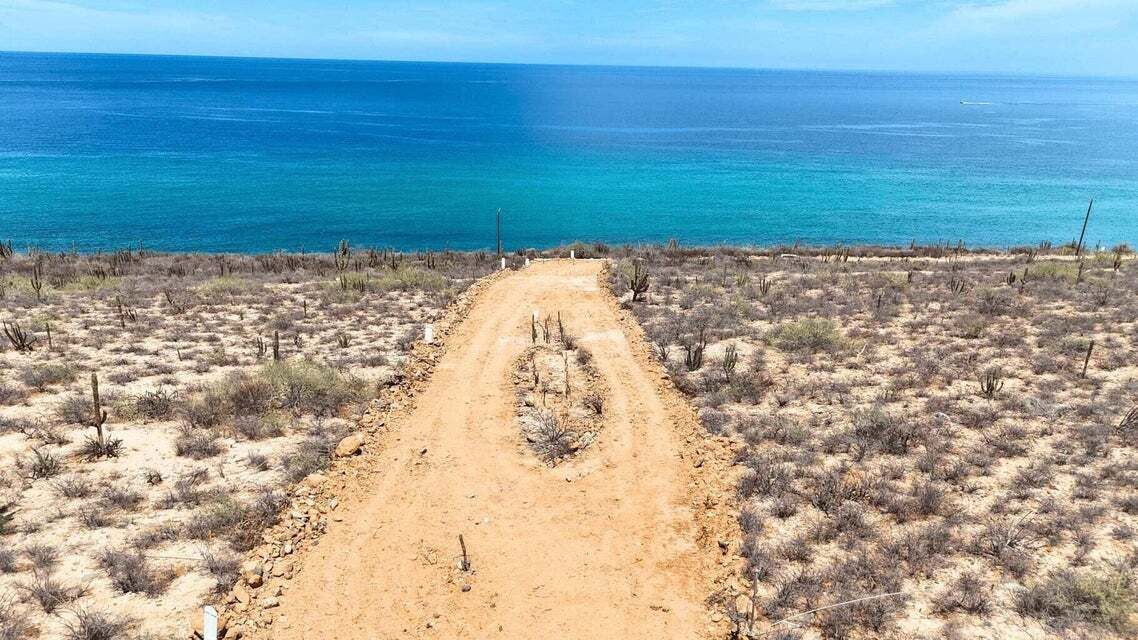 11 de 28