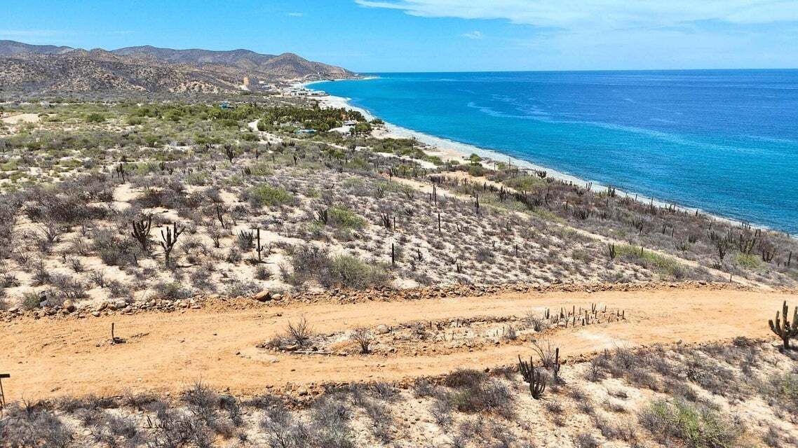 13 de 28