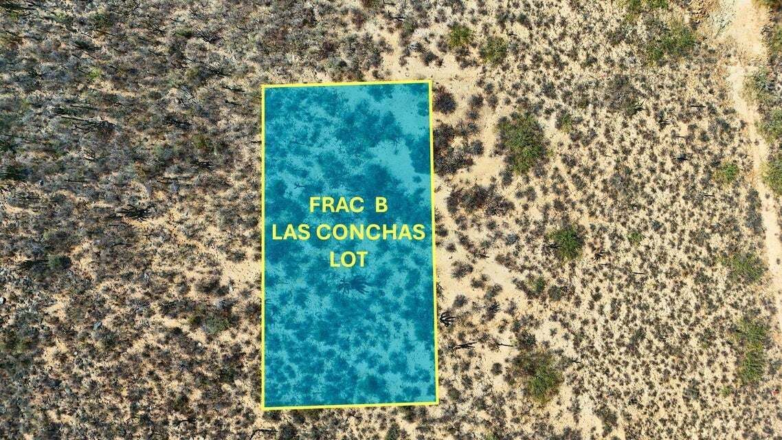 6 of 26