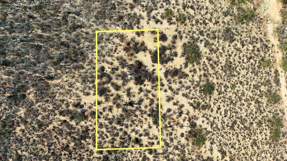 7 of 26