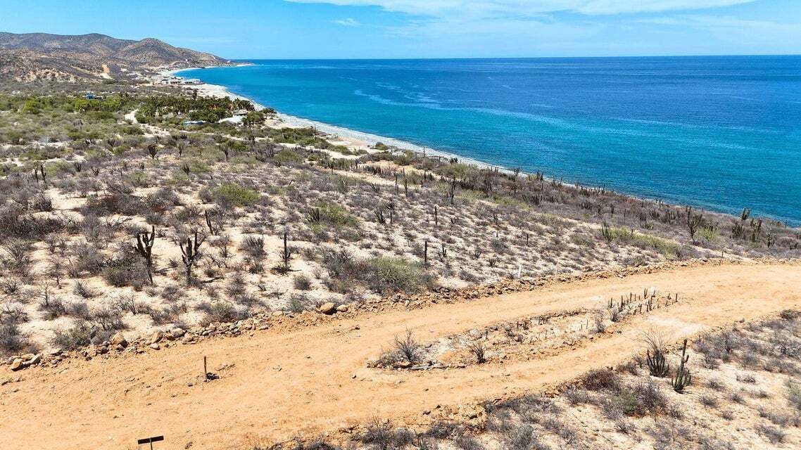 11 de 26