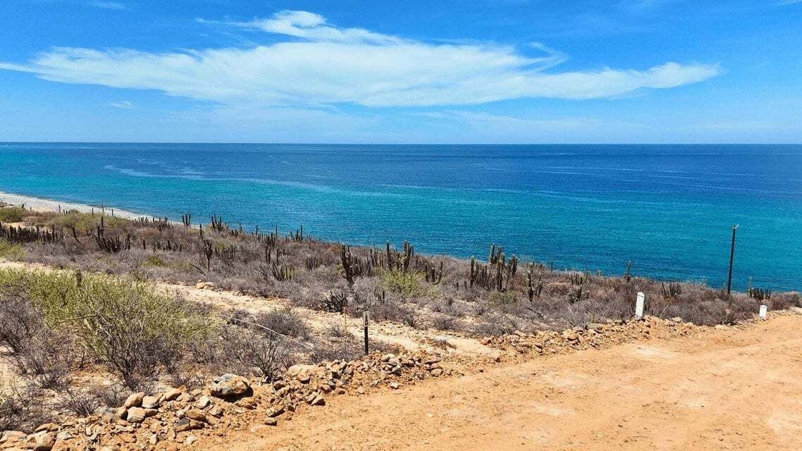 14 de 26