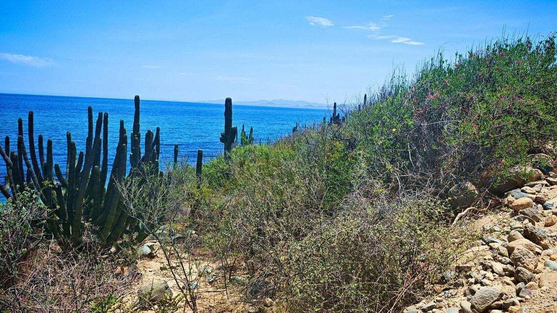 5 de 31