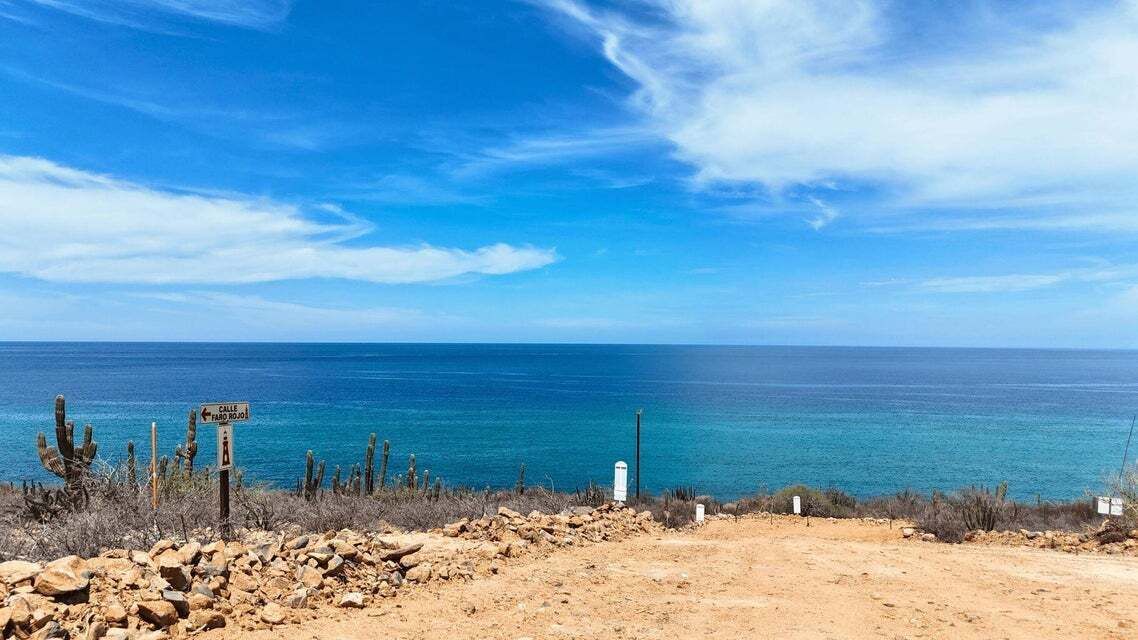 12 de 31