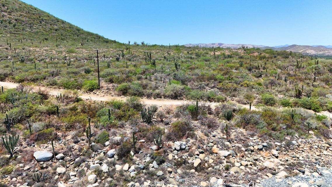 14 de 31
