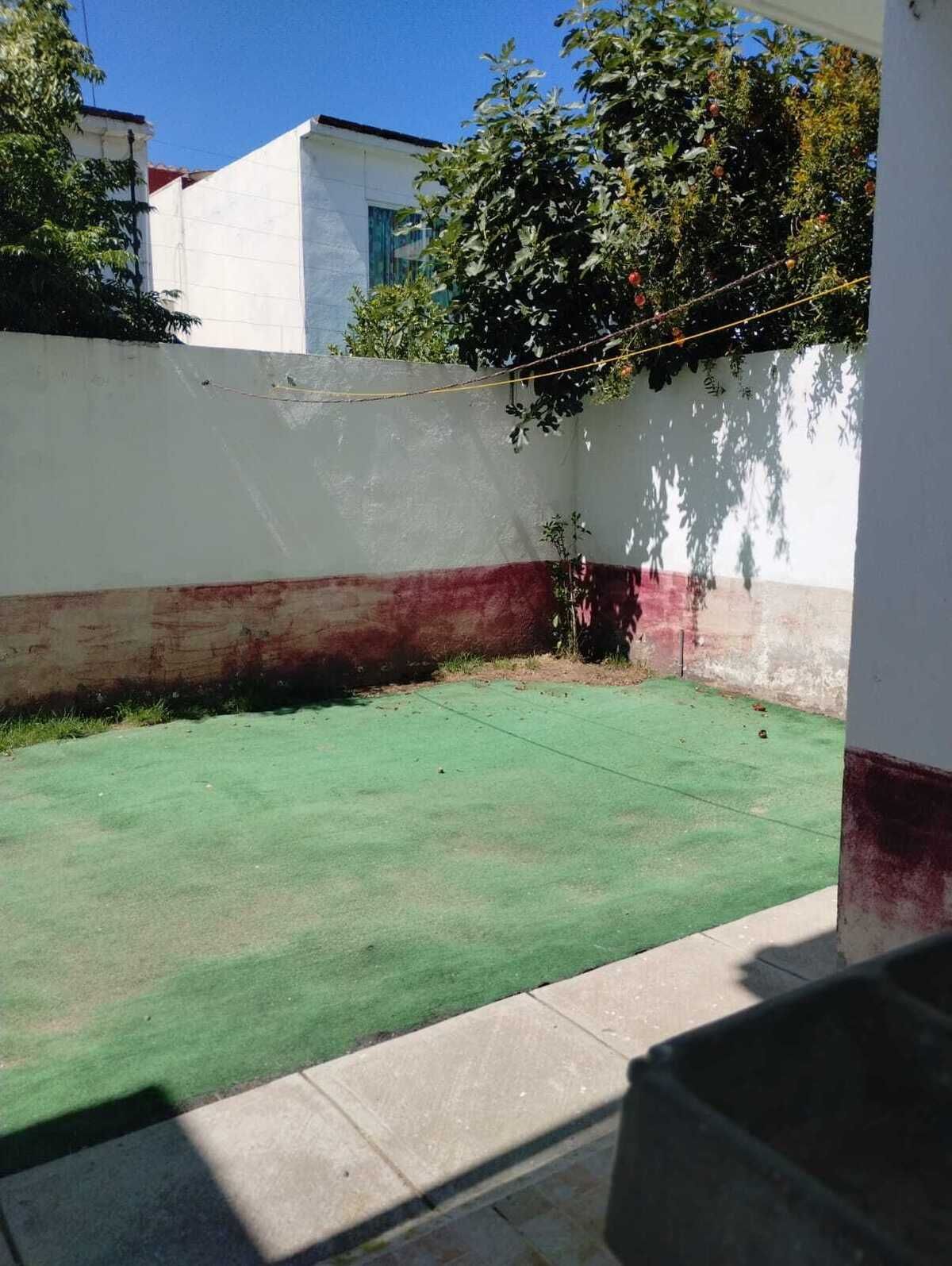 11 de 12