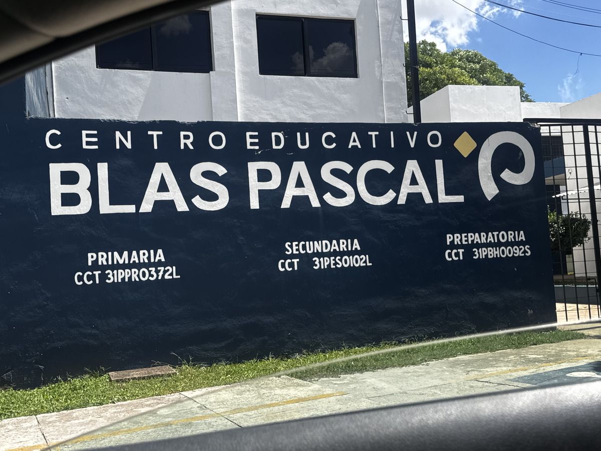4 de 6