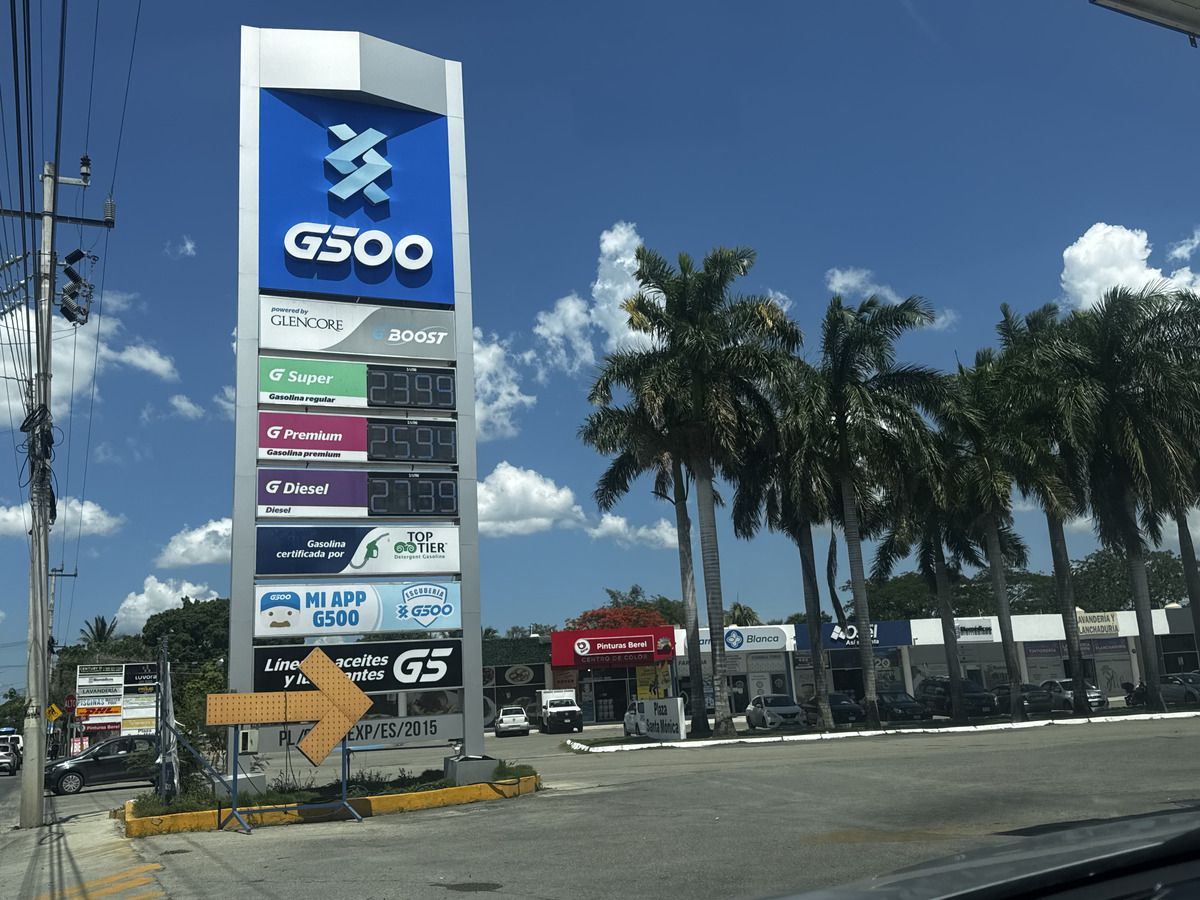 6 de 6