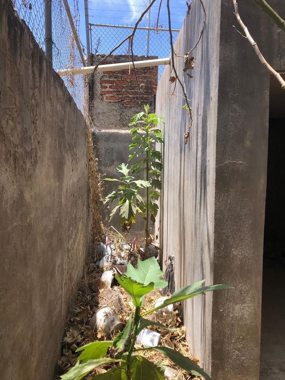29 de 35