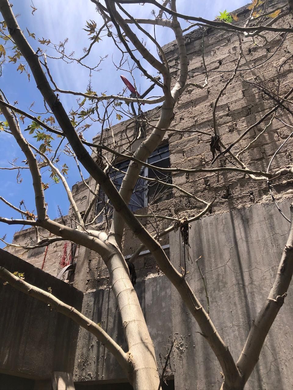 31 de 35
