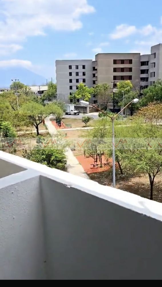 7 de 19