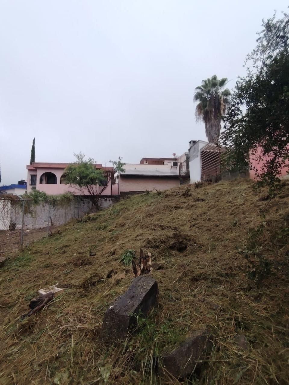 2 de 7