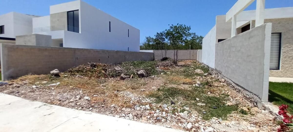 2 de 14