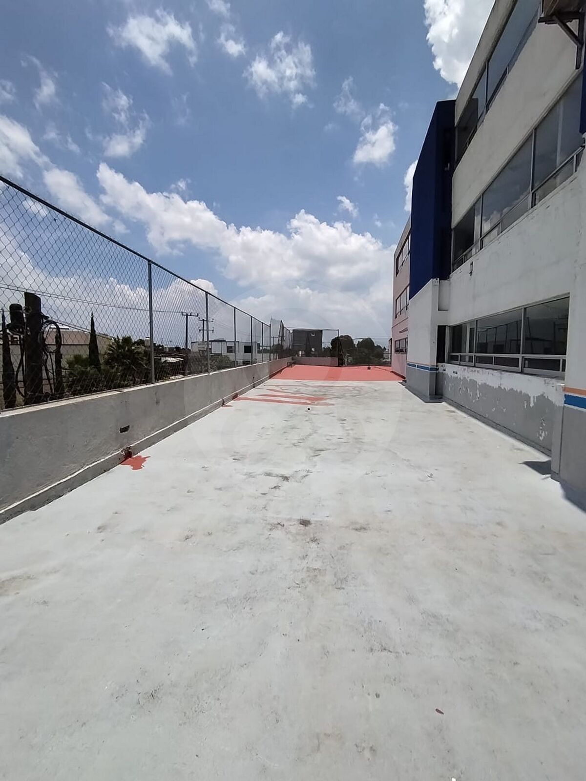 7 de 21