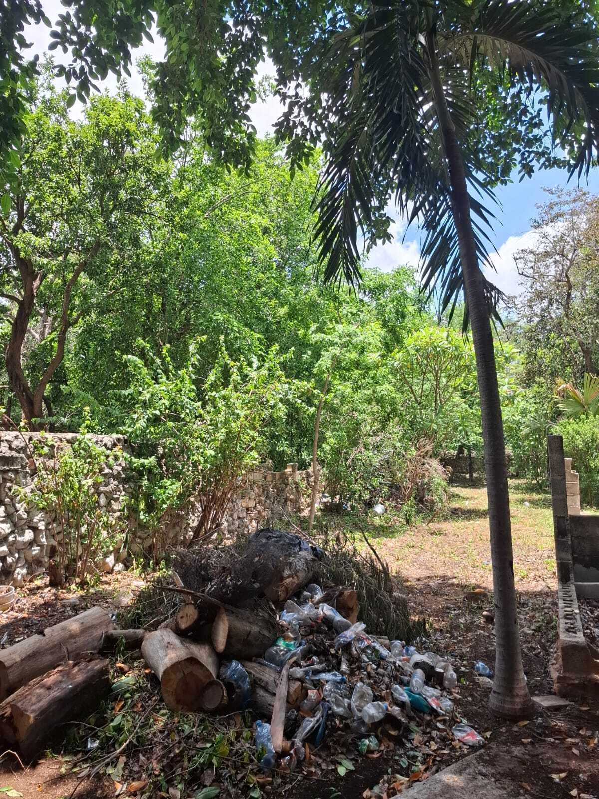 26 de 29
