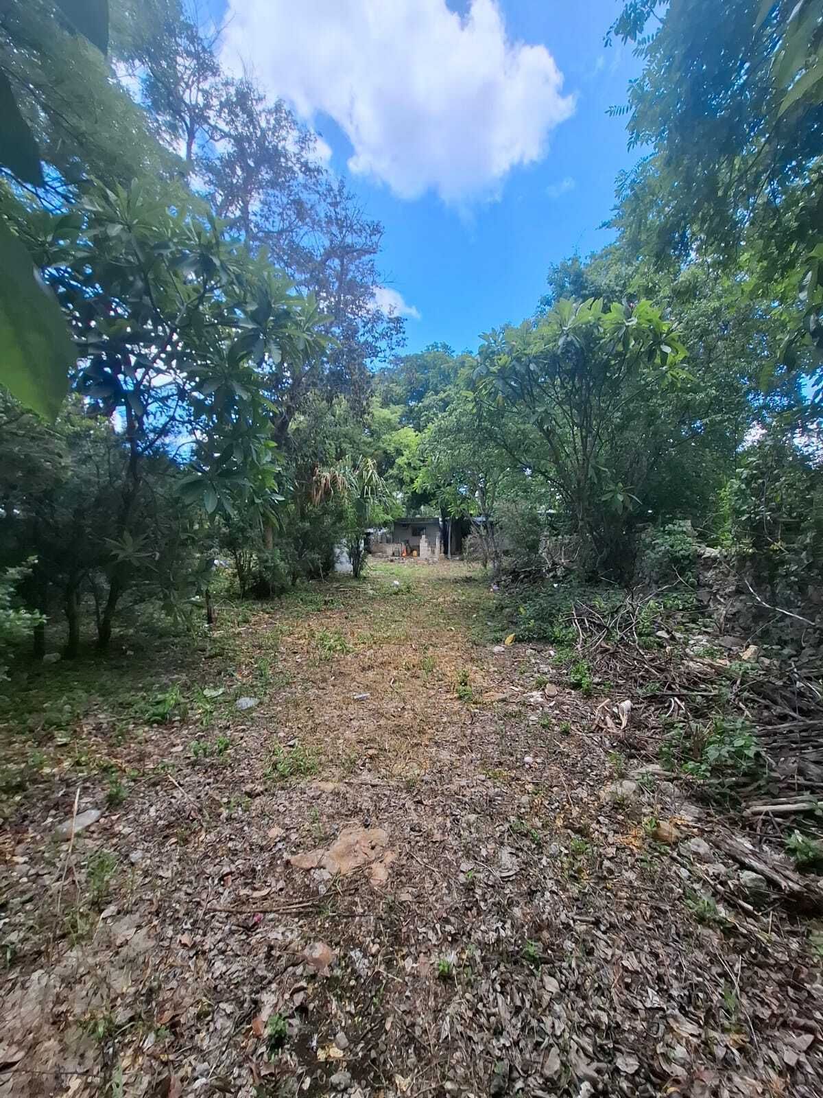 28 de 29