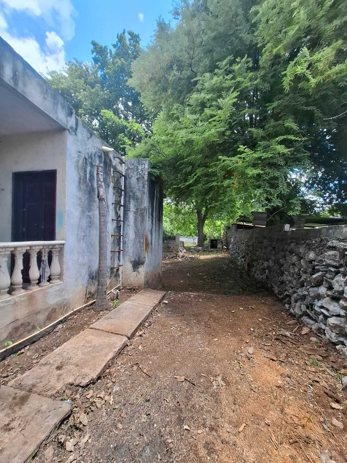 11 de 14