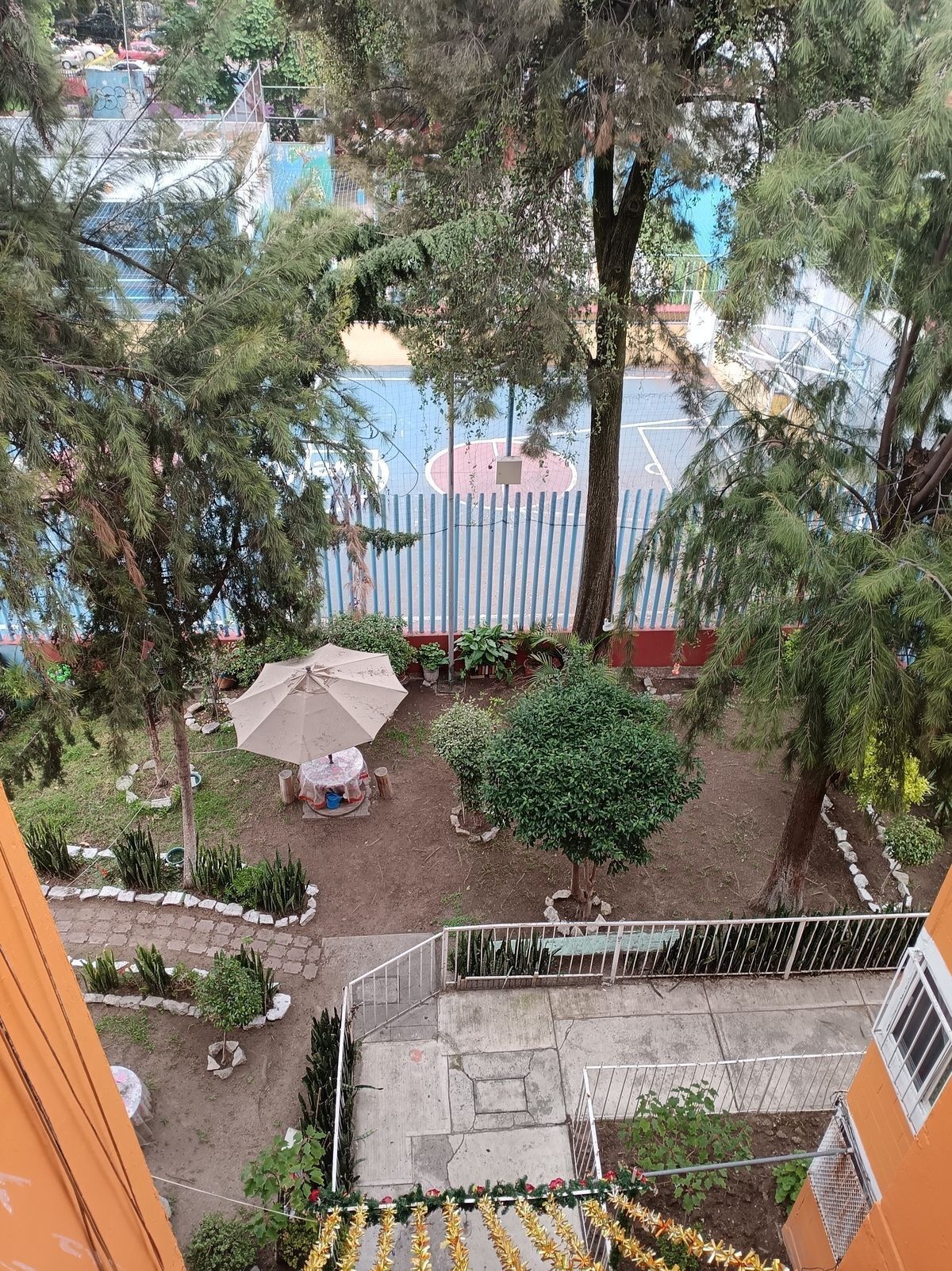 10 de 14