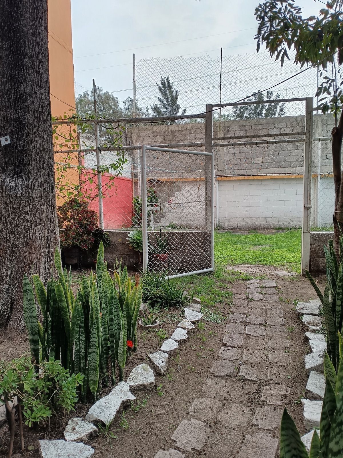 14 de 14