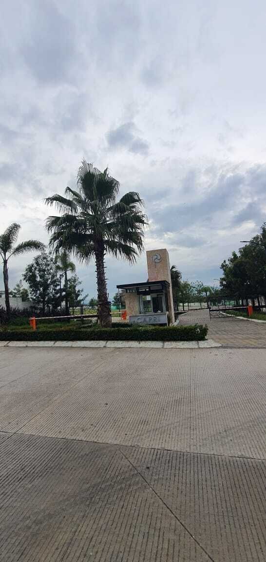 4 de 6
