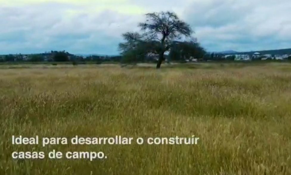 4 de 4