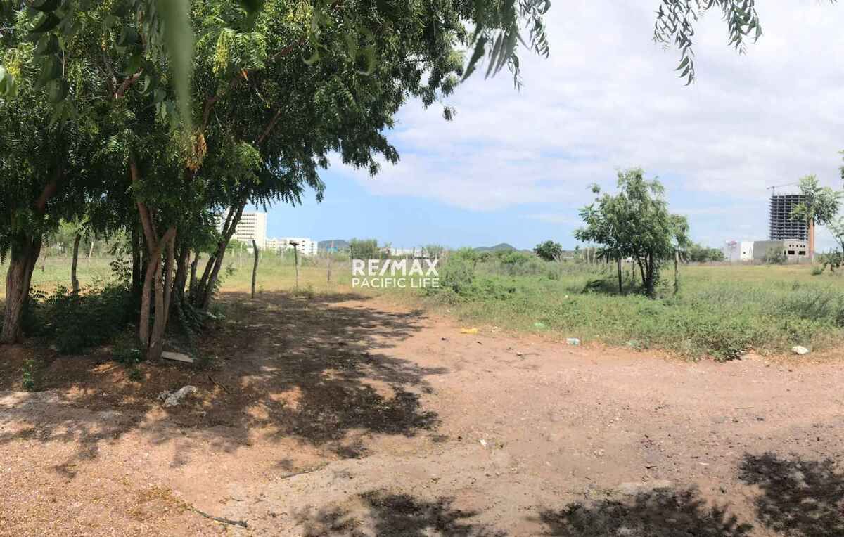 3 de 11